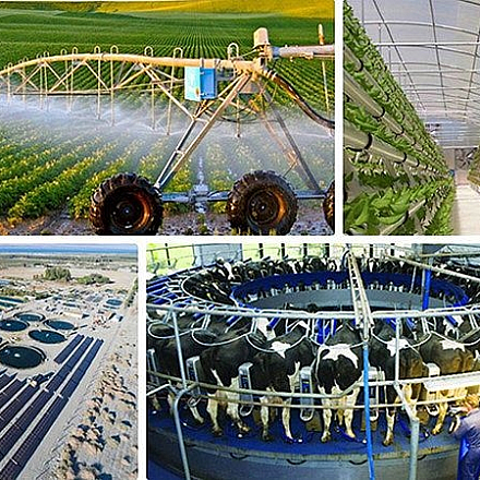 High-Tech Agriculture in Israel and What You Might Not Know