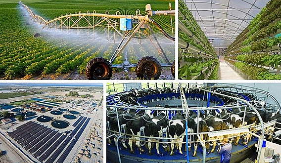 High-Tech Agriculture in Israel and What You Might Not Know