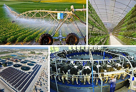 High-Tech Agriculture in Israel and What You Might Not Know