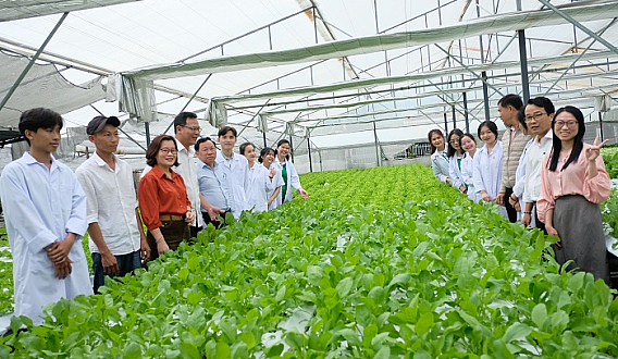 The Role of High Technology in Agricultural Development in Vietnam
