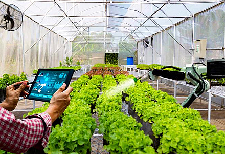 Promoting High-Tech Agricultural Projects in Binh Thuan