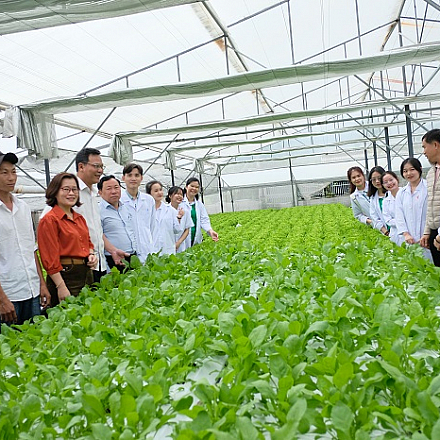 The Role of High Technology in Agricultural Development in Vietnam