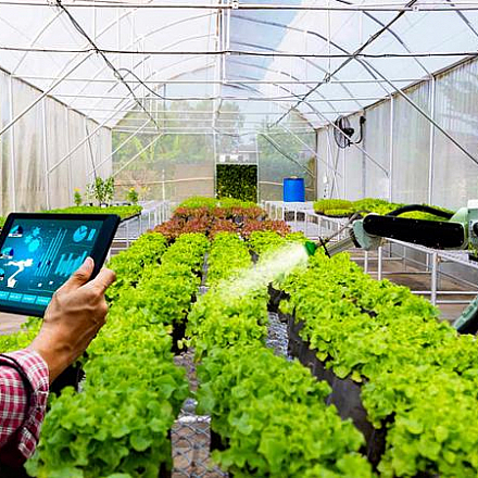 Promoting High-Tech Agricultural Projects in Binh Thuan