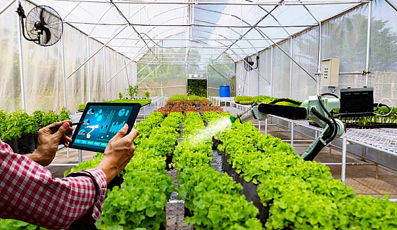 Promoting High-Tech Agricultural Projects in Binh Thuan